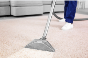 efficient carpet cleaning Adelaide