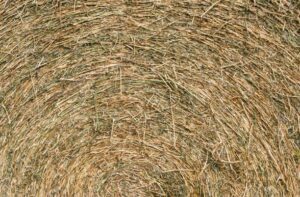 baler twine suppliers