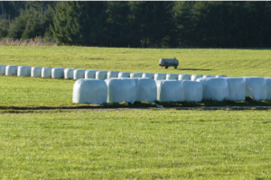 strong silage plastic