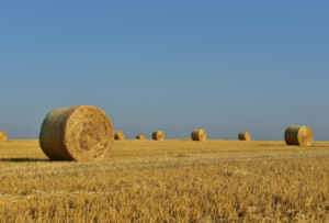 straw baler twine
