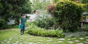 garden services company