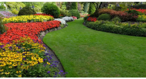 landscaping experts