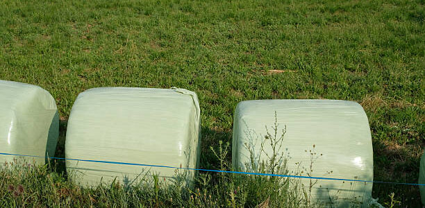Net Wrap How Net Wrap Improves Transport Efficiency Across Australia Net Wrap