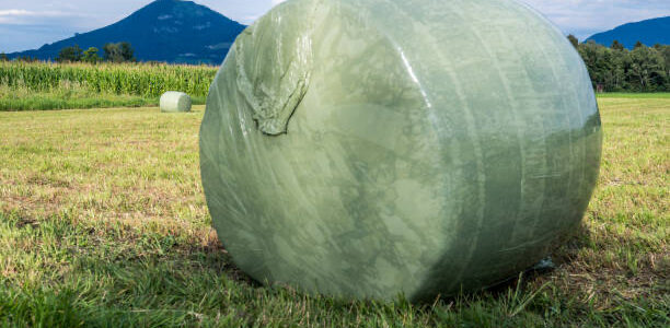 Silage Film Practical Tips for Storing and Handling in Australian Farming Conditions silage film