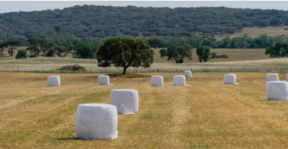 Bale Wrap’ Top 7 Tips for Choosing Quality Bale Wrap in Australia bale wrap