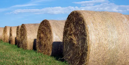 Net Wrap Australia’ How to Choose Quality Net Wrap for Reliable Bale Protection net wrap